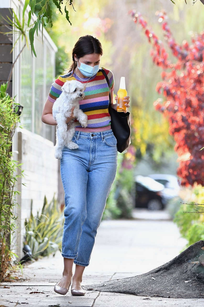 Ana De Armas Ben Affleck Out With Their Dog Los Angeles