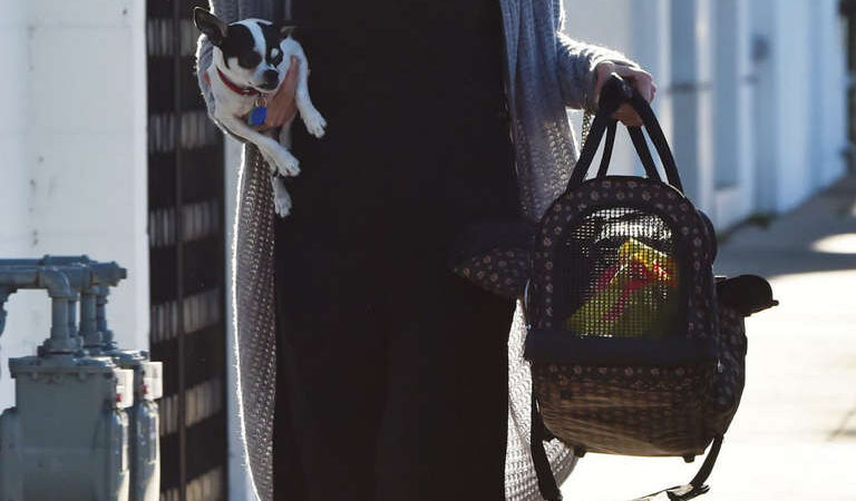 Andie Macdowell Out With Her Dog West Hollywood (10 photos)