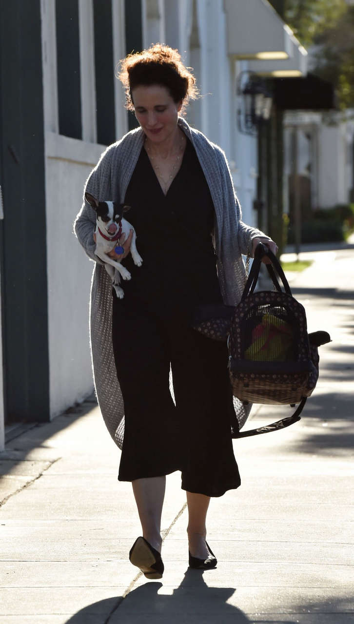 Andie Macdowell Out With Her Dog West Hollywood