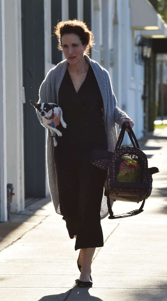 Andie Macdowell Out With Her Dog West Hollywood