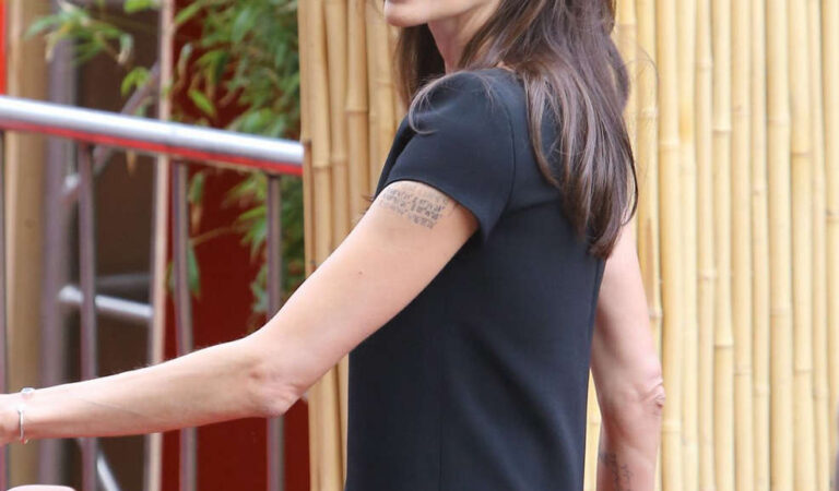 Angelina Jolie Arrives Kung Fu Panda 3 Premiere Hollywood (4 photos)