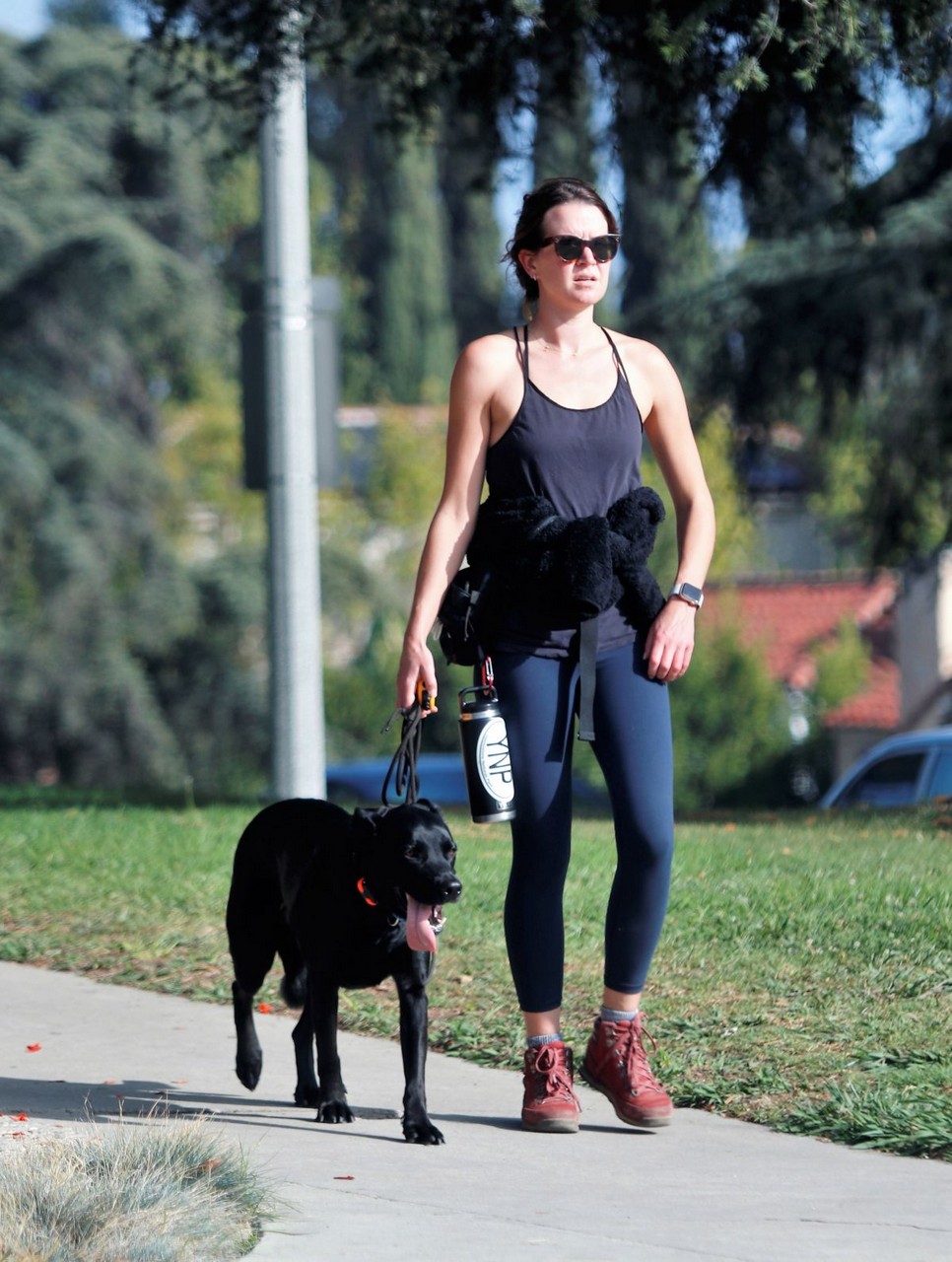 Annabelle Wallis Out For Dog Walk Los Angeles