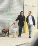 Anne Hathaway Walks Her Dogs Out New York