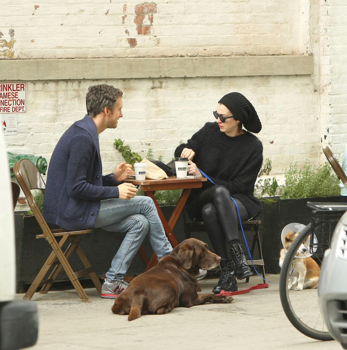Anne Hathaway Walks Her Dogs Out New York