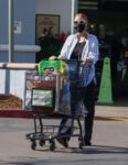 Ashlee Simpson Out Shopping Grocery Store Los Angeles