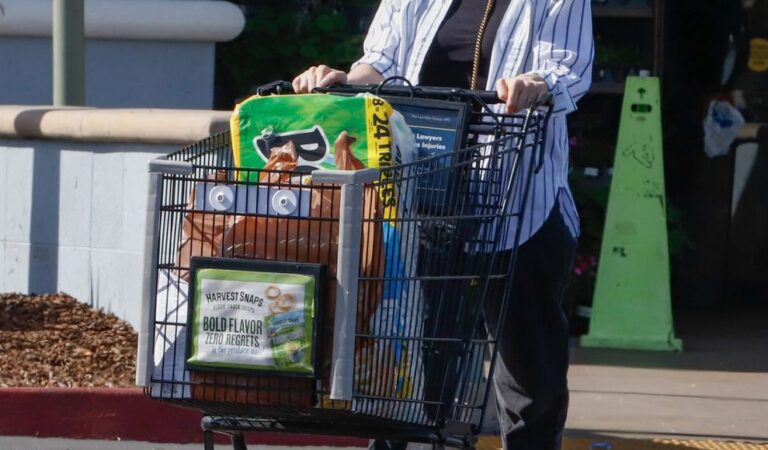 Ashlee Simpson Out Shopping Grocery Store Los Angeles (7 photos)