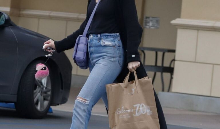 Ashlee Simpson Shopping Best Buy Los Angeles (7 photos)