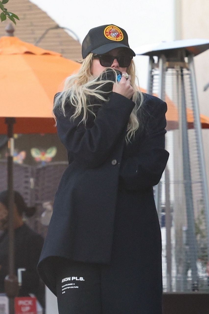 Ashley Benson Out For Lunch Studio City