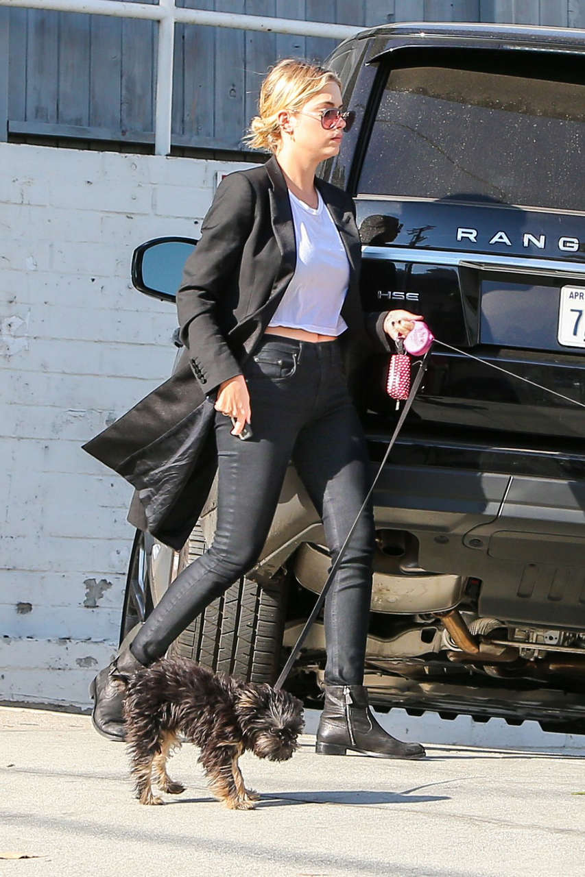 Ashley Benson Walks Her Dogs Out Hollywood