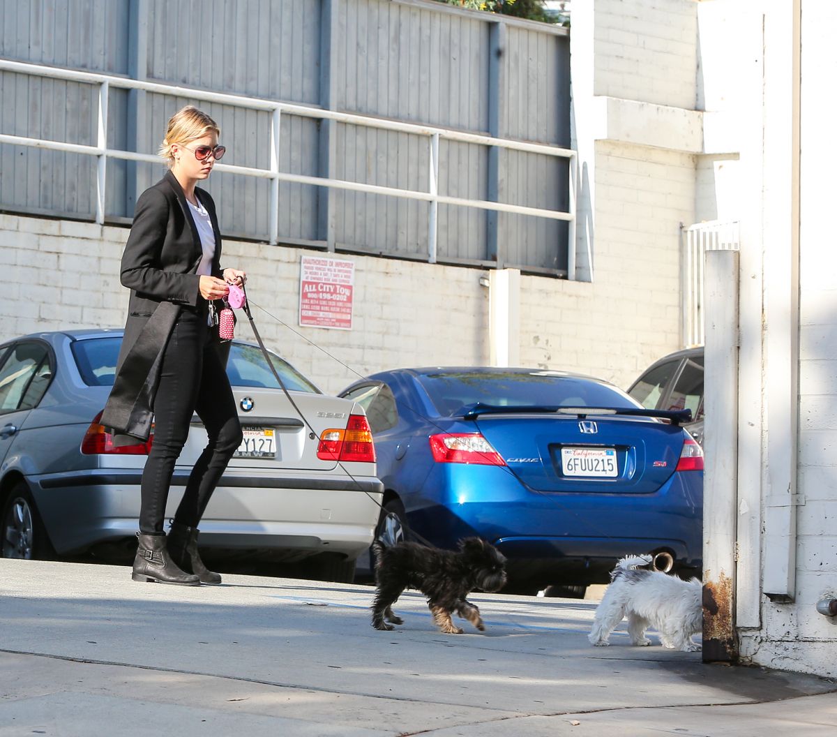 Ashley Benson Walks Her Dogs Out Hollywood