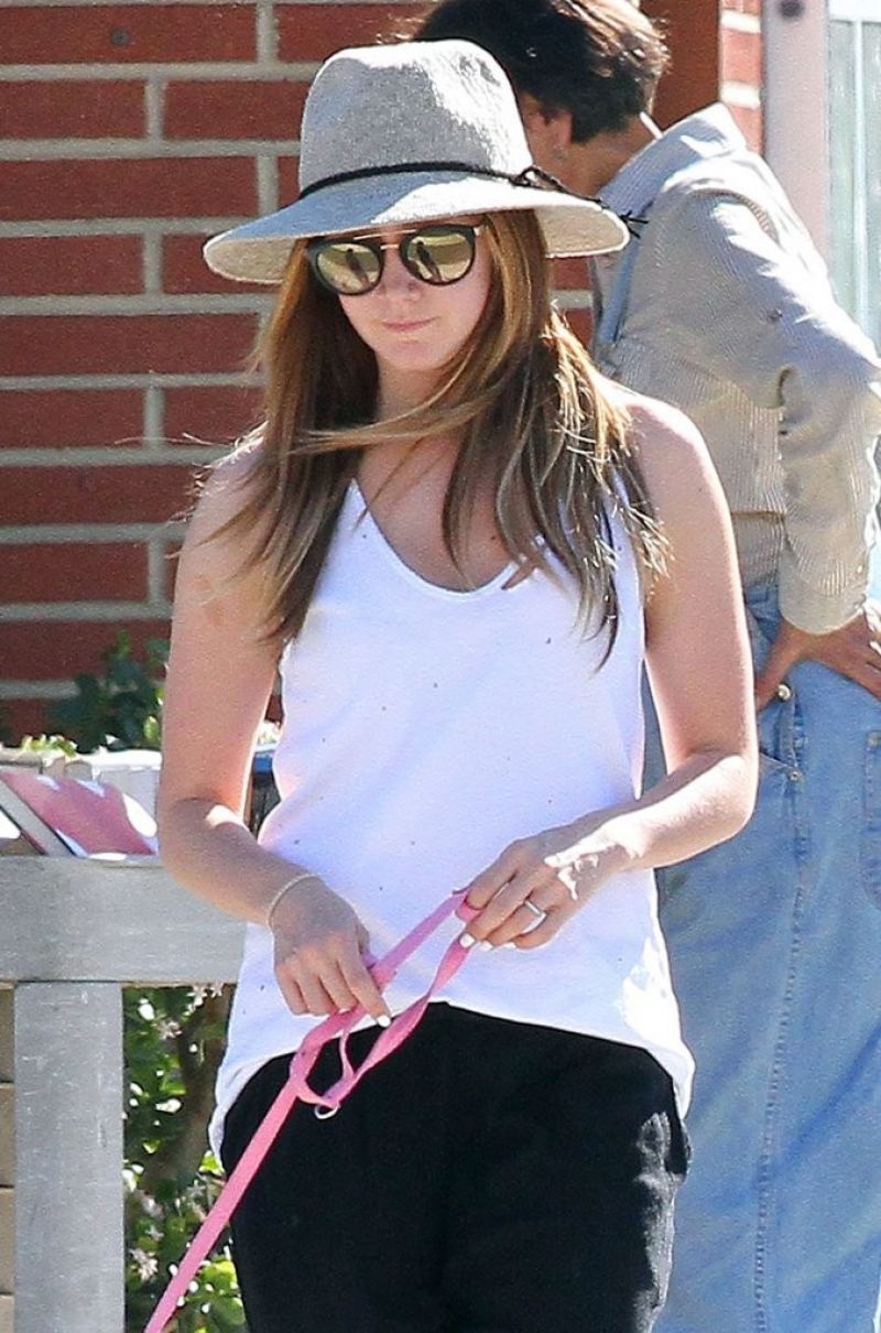 Ashley Tisdale Out With Her Dog Toluca Lake