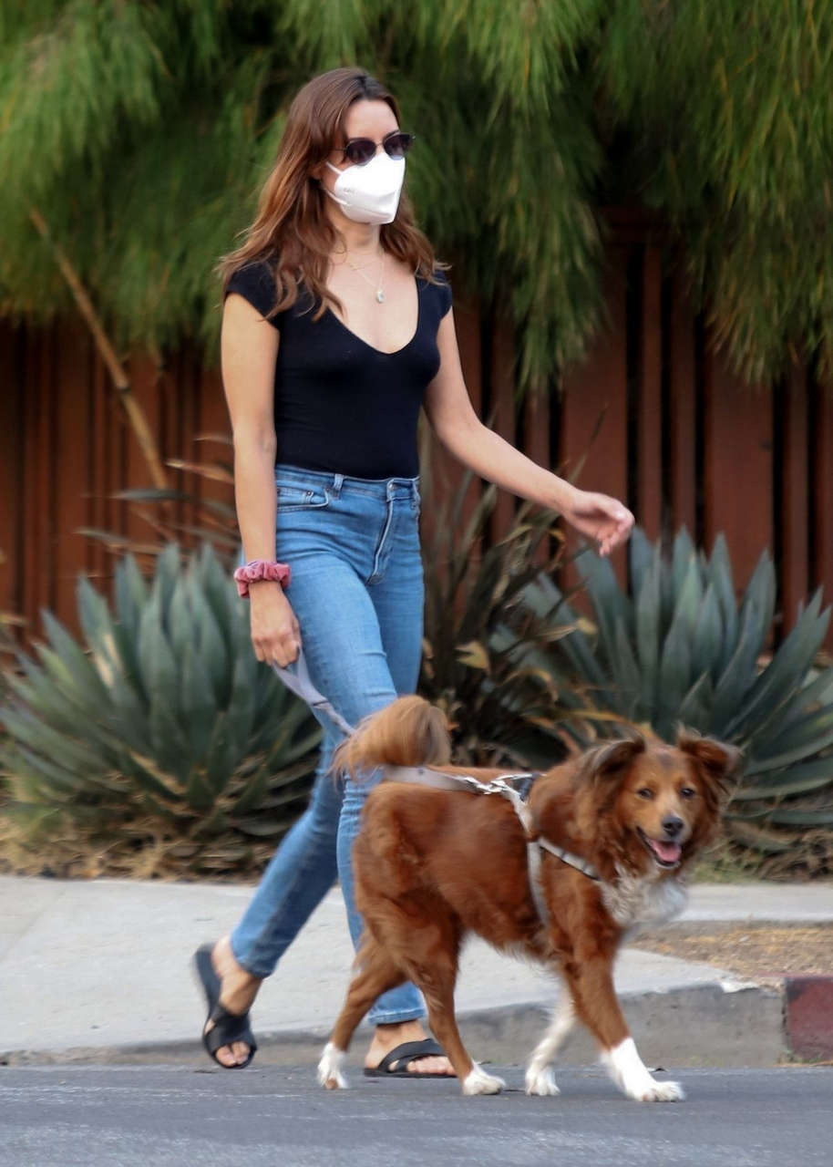 Aubrey Plaza Jeff Baena Out With Their Dogs Los Angeles