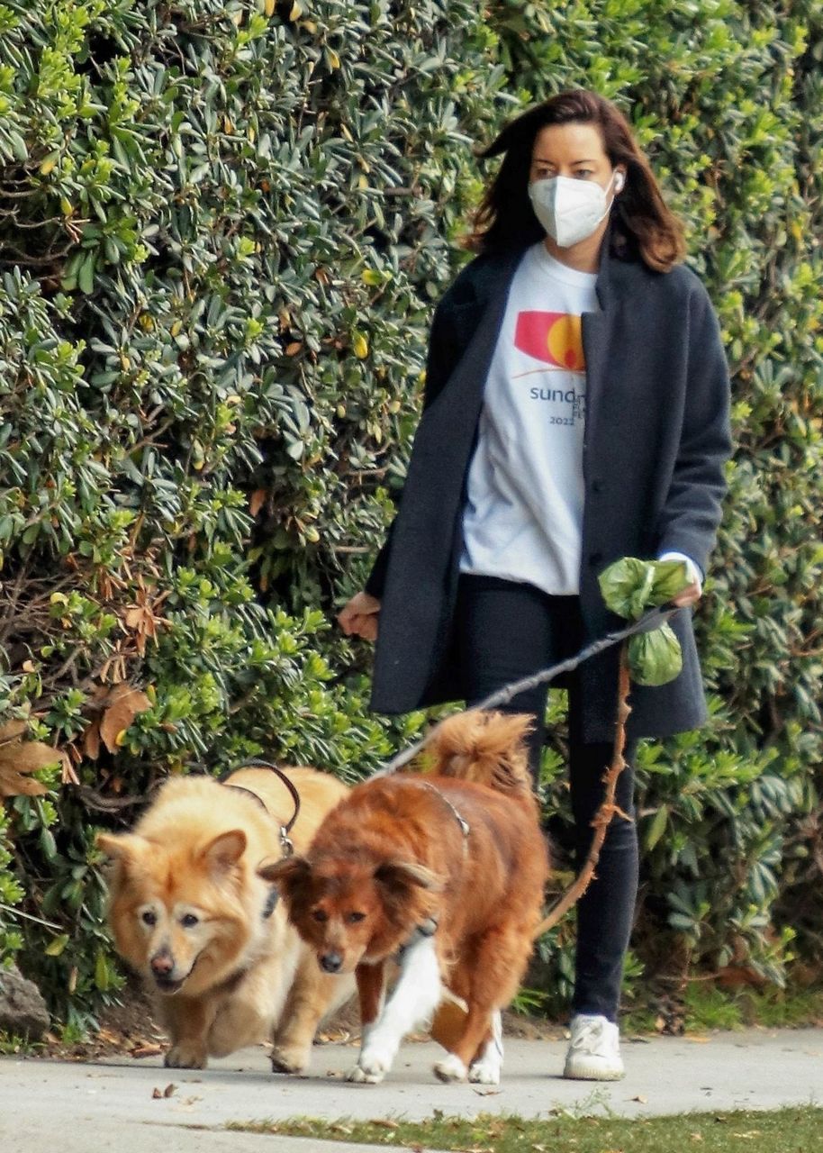 Aubrey Plaza Out With Her Dogs For Walk Los Feliz