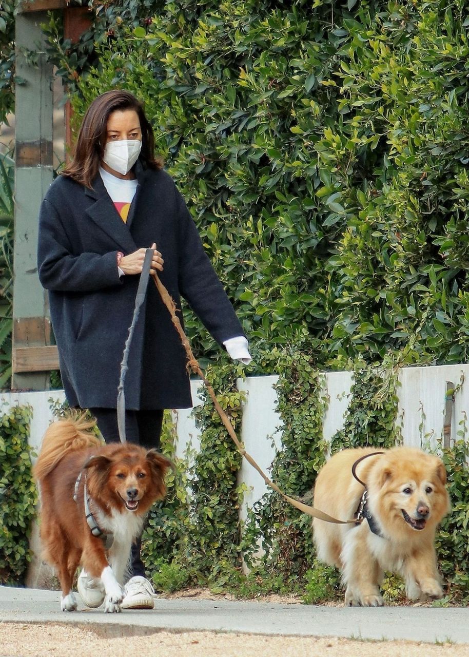 Aubrey Plaza Out With Her Dogs For Walk Los Feliz