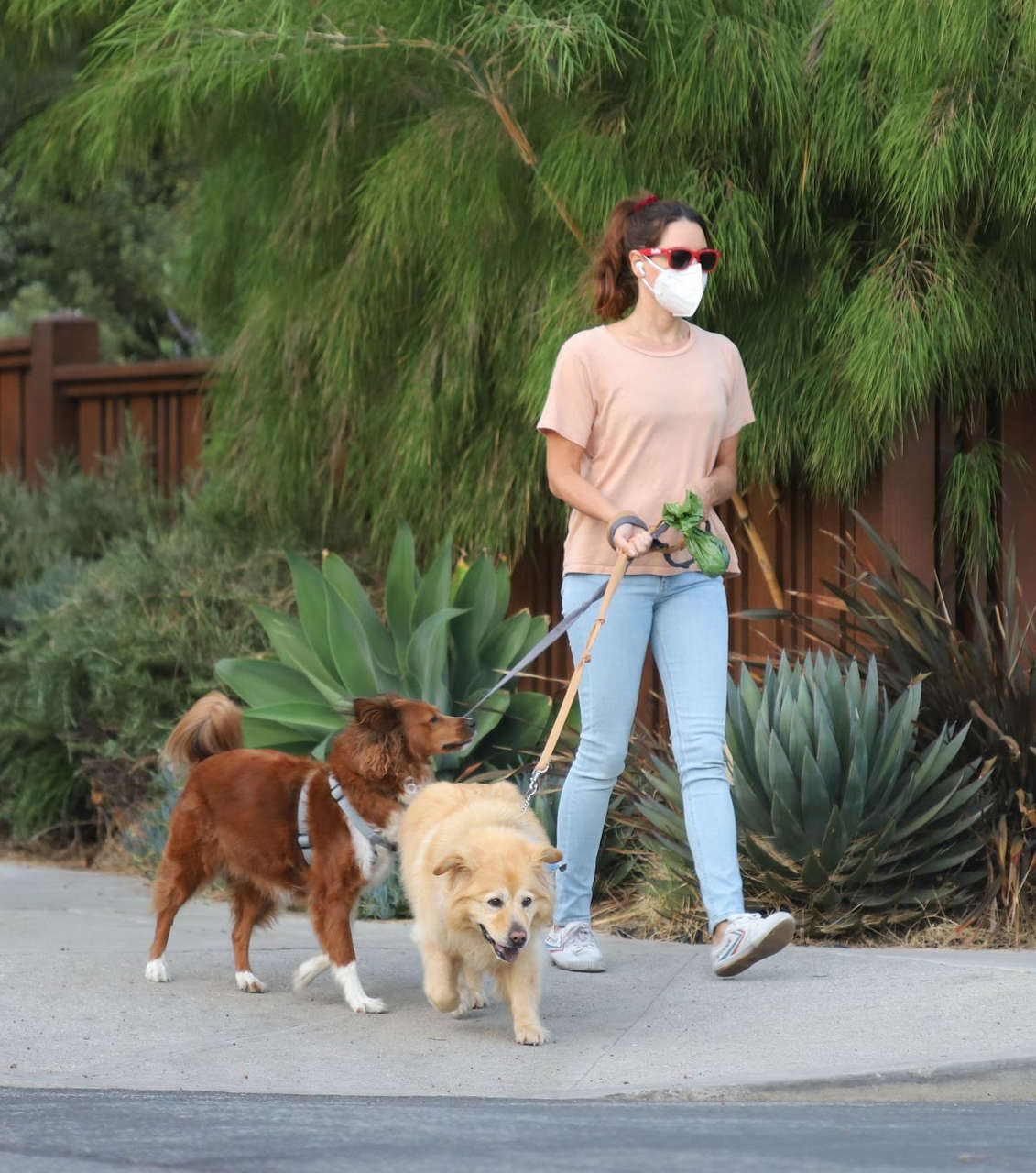 Aubrey Plaza Out With Her Dogs Los Angeles