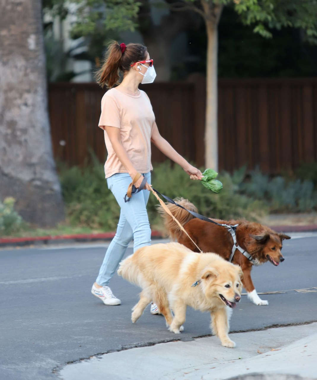 Aubrey Plaza Out With Her Dogs Los Angeles