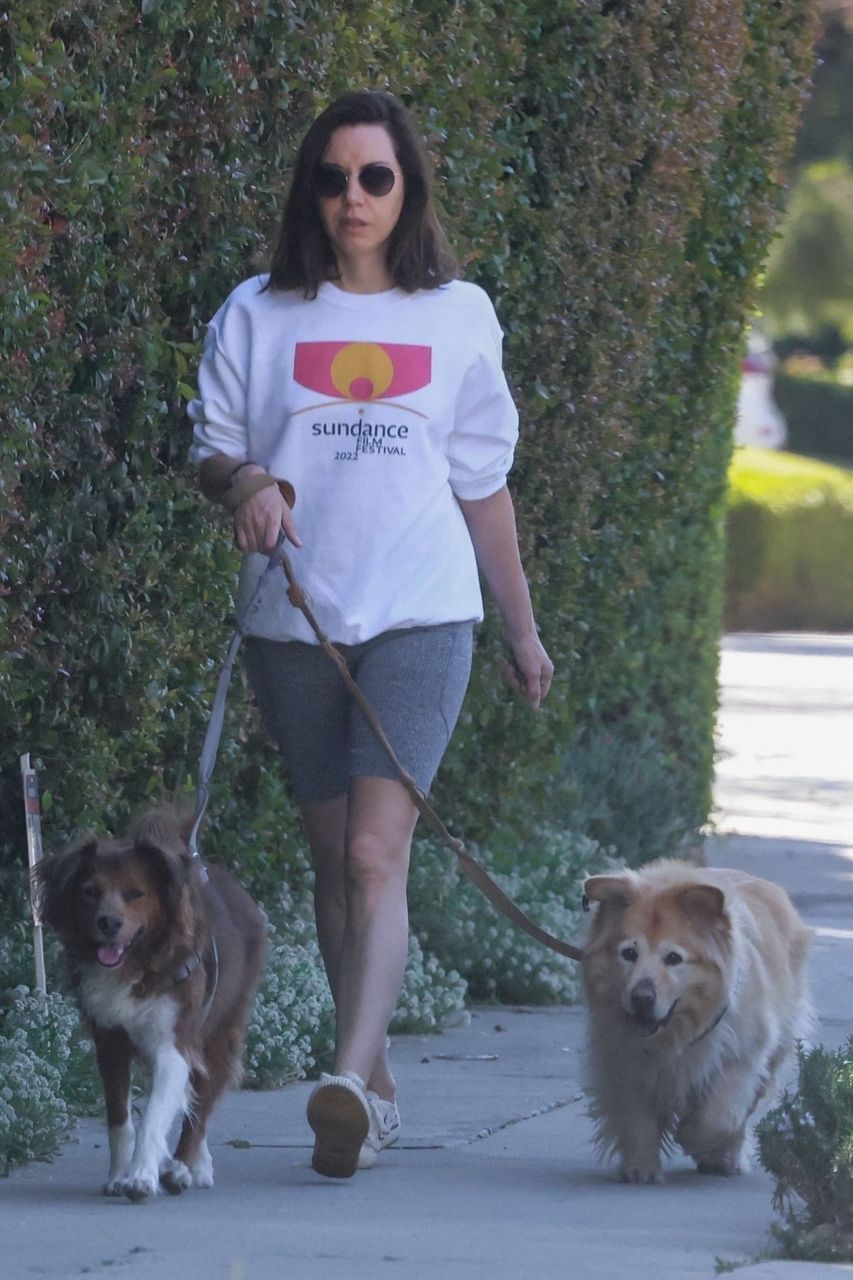Aubrey Plaza Out With Her Dogs Los Feliz