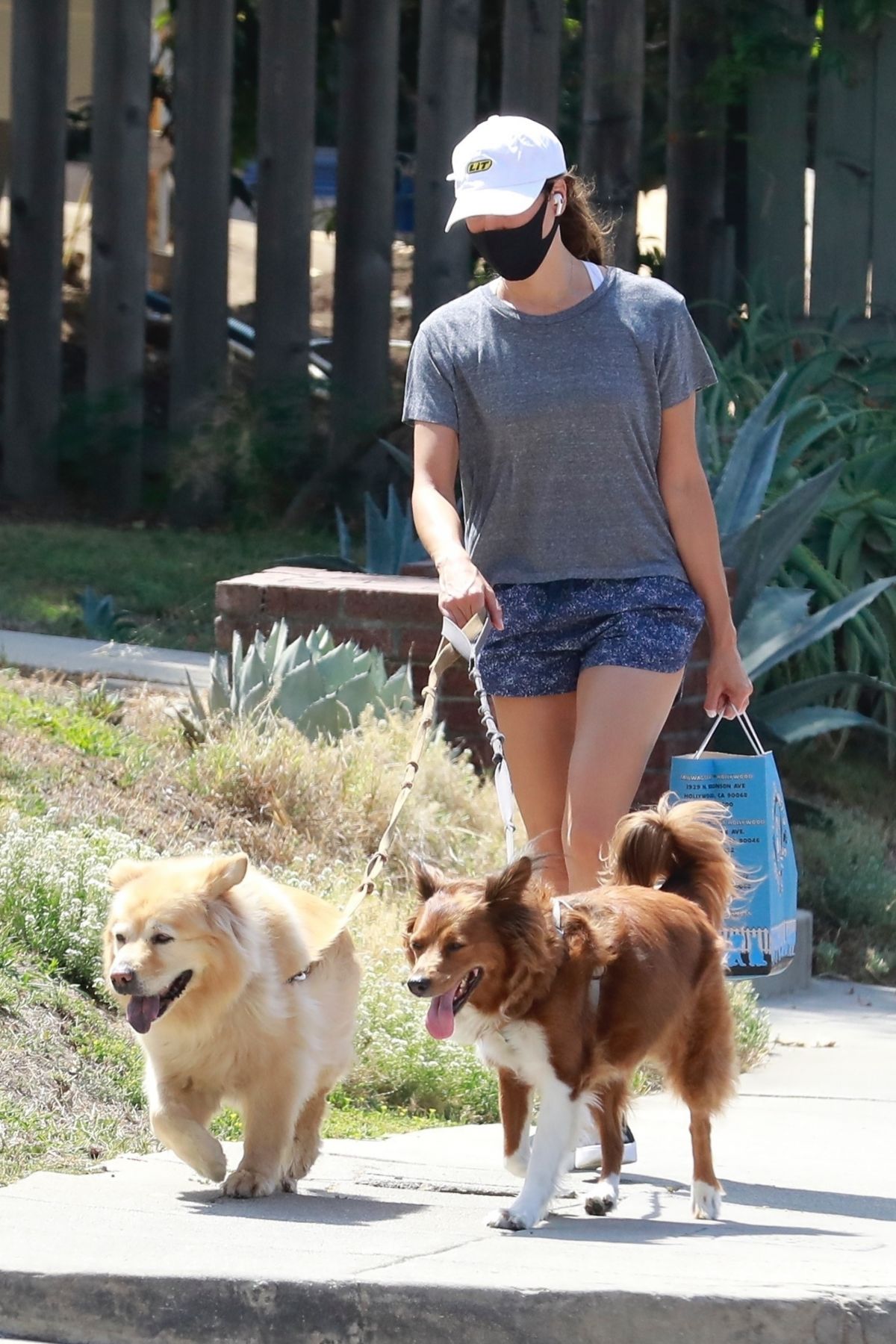 Aubrey Plaza Out With Her Dogs Los Feliz