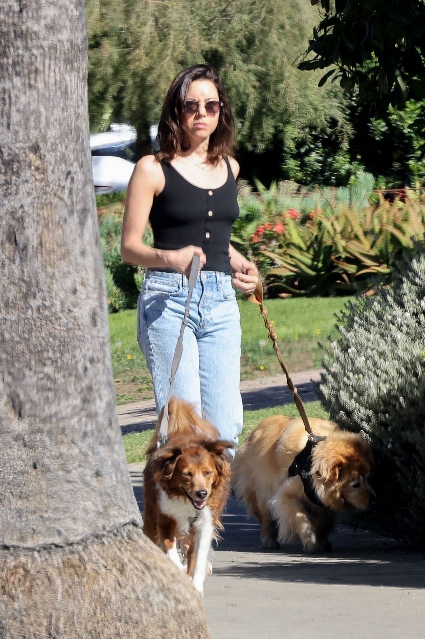Aubrey Plaza Walks Her Dogs Los Feliz