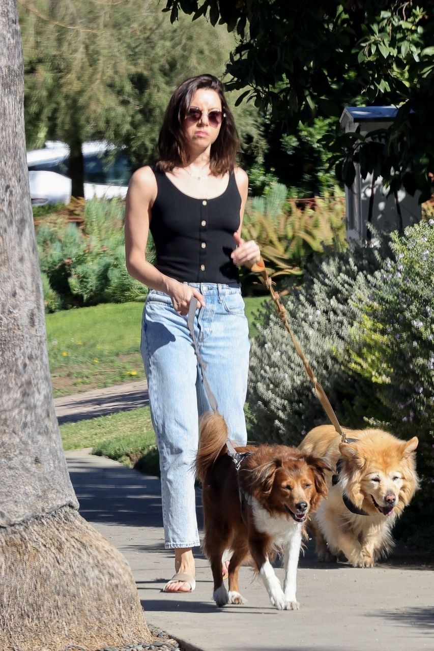Aubrey Plaza Walks Her Dogs Los Feliz