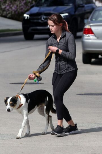 Ava Phillippe Out With Her Dog Brentwood