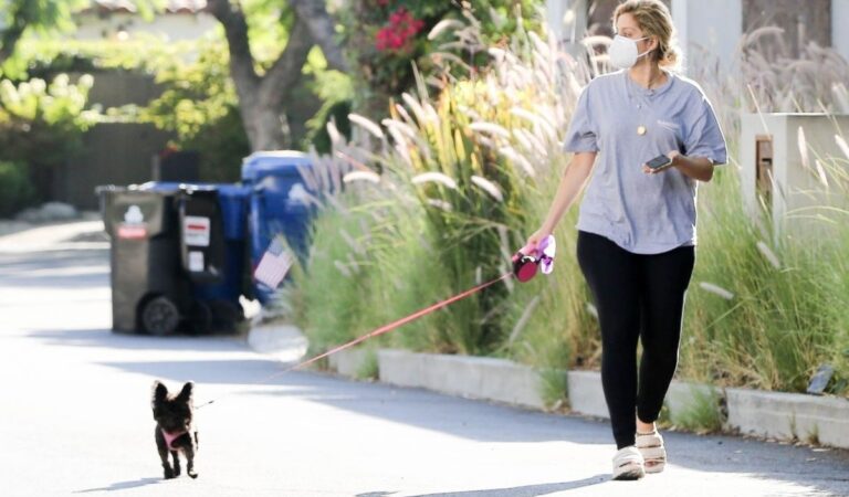 Bebe Rexha Out With Her Dog Hollywood (13 photos)