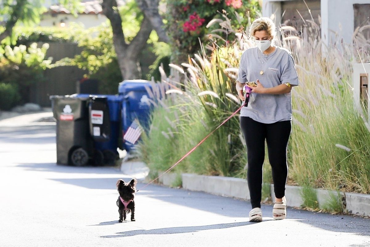 Bebe Rexha Out With Her Dog Hollywood