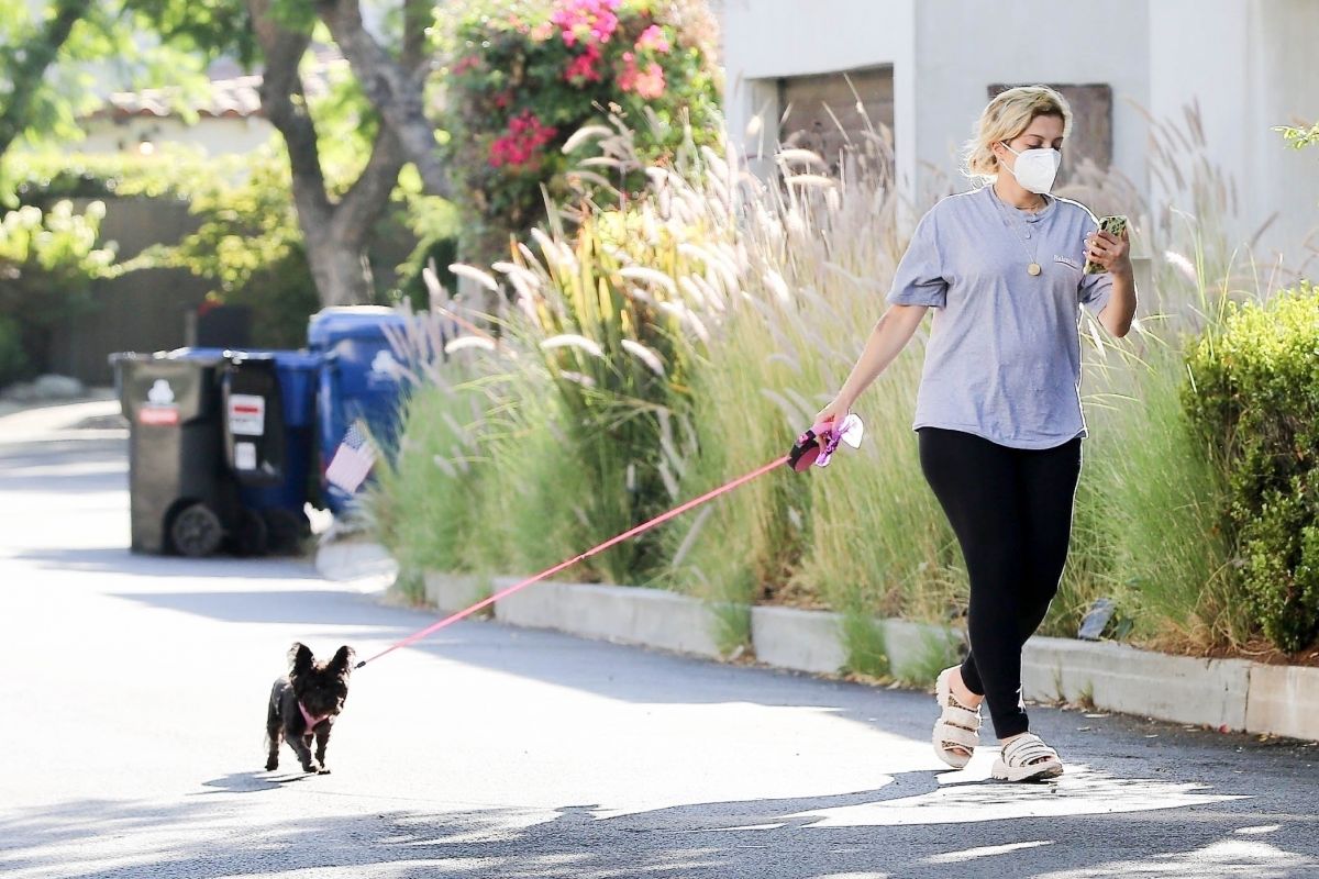Bebe Rexha Out With Her Dog Hollywood