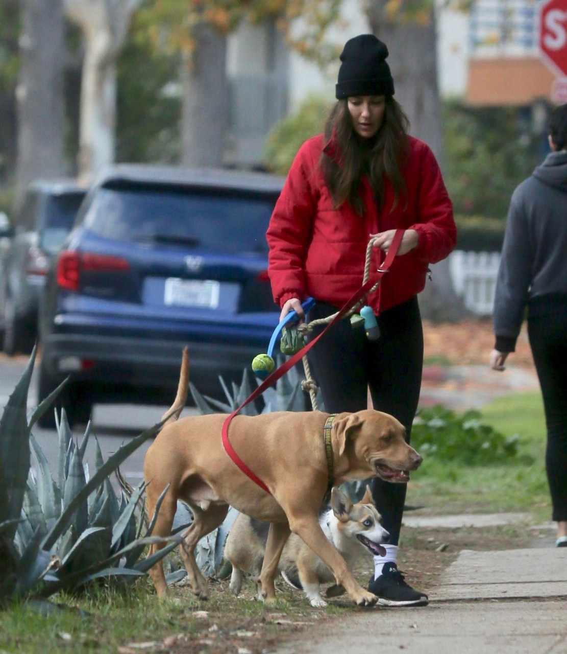 Becca Kufrin Out With Her Dogs Dog Park Los Angeles