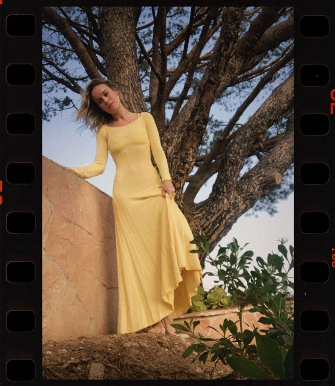 Brie Larson Self Portrait Photoshoot For Emmy S