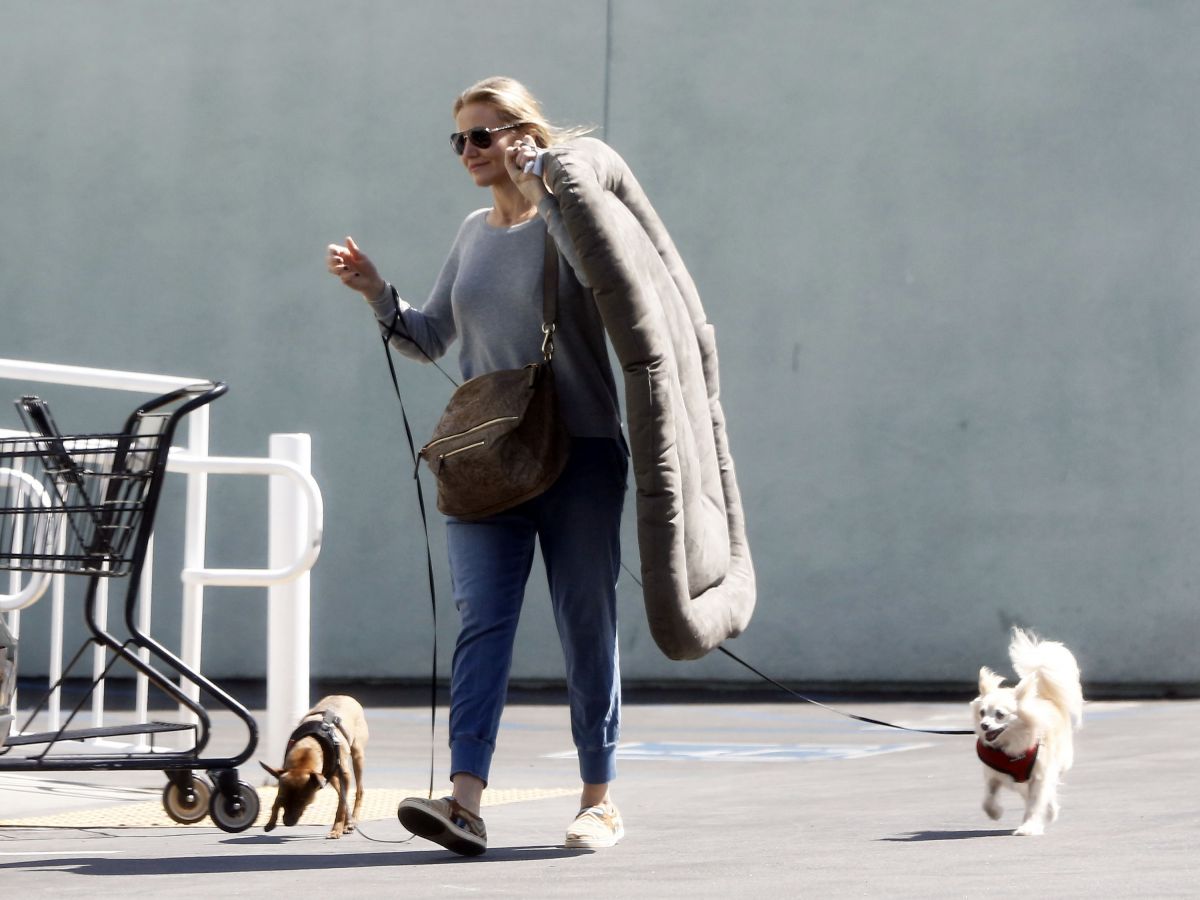 Cameron Diaz Out About West Hollywood