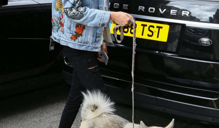 Cara Delevingne Out With Her Dog London (15 photos)