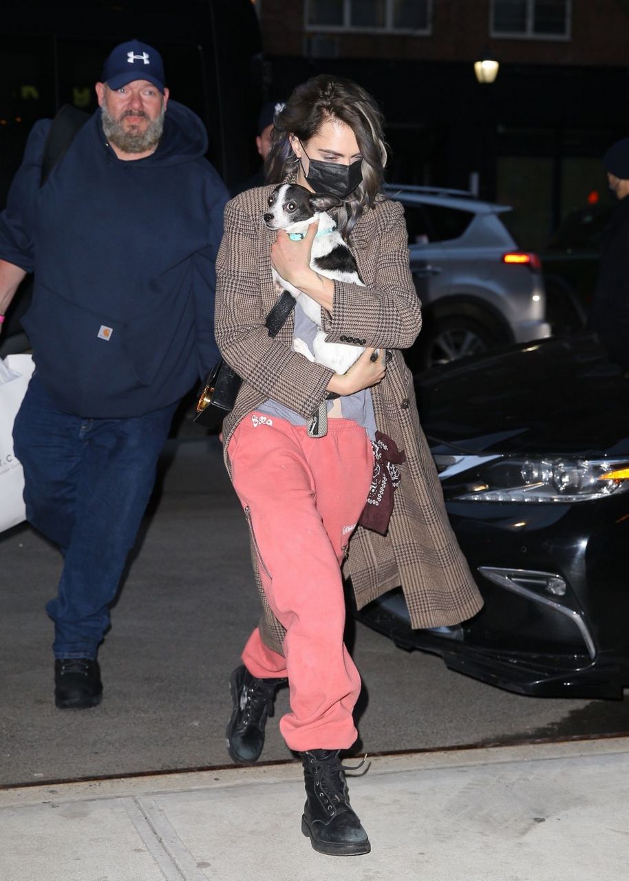 Cara Edlevingne Arrives With Her Dog Greenwich Hotel New York