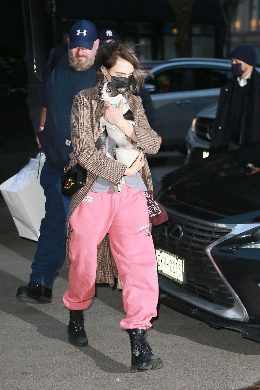 Cara Edlevingne Arrives With Her Dog Greenwich Hotel New York