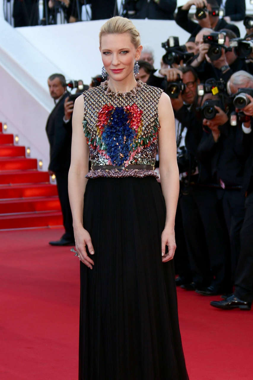 Cate Blanchett How To Train Your Dragon 2 Premiere Cannes Film Festival