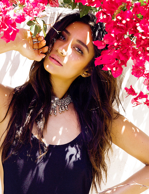 Celebritiesofcolor Shay Mitchell Photographed
