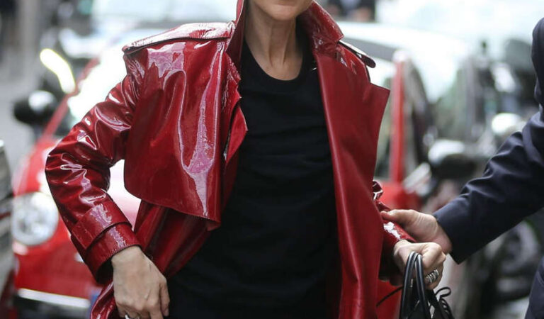 Celine Dion Out Shopping Paris (19 photos)