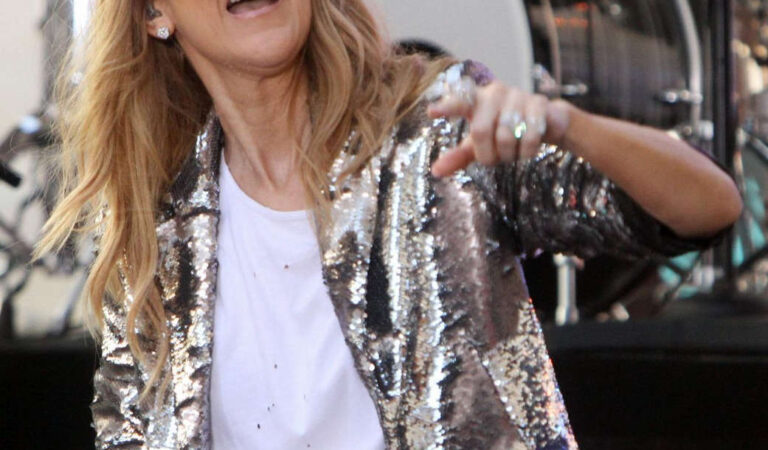 Celine Dion Performs Today Show New York (31 photos)