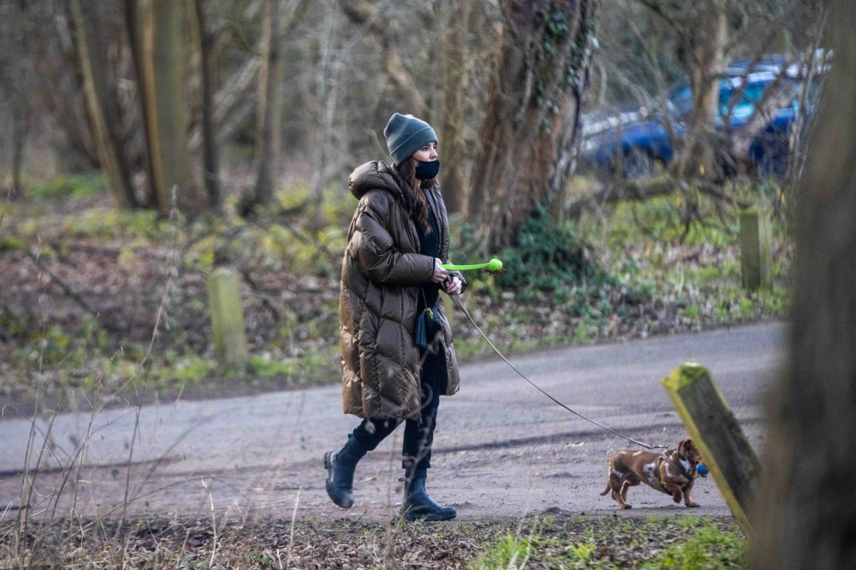 Cheryl Cole Out With Her Dog Hertfordshire