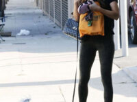 Chrishell Stause Out With Her Dog Los Angeles