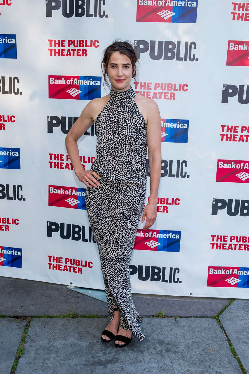 Cobie Smulders 2016 Public Theater Gala New York