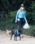 Courtney Thorne Smith Out Eith Her Dogs Brentwood
