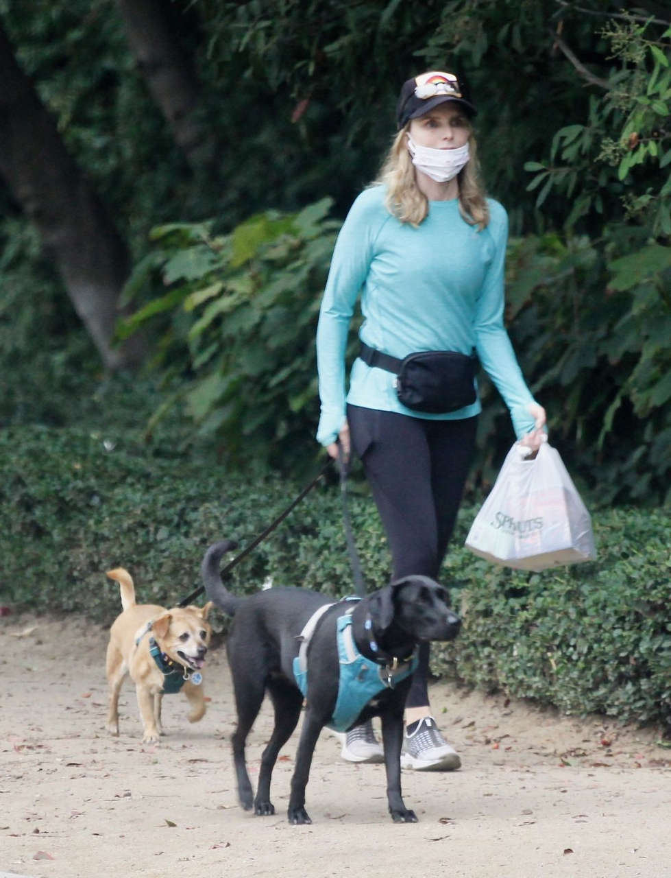Courtney Thorne Smith Out Eith Her Dogs Brentwood
