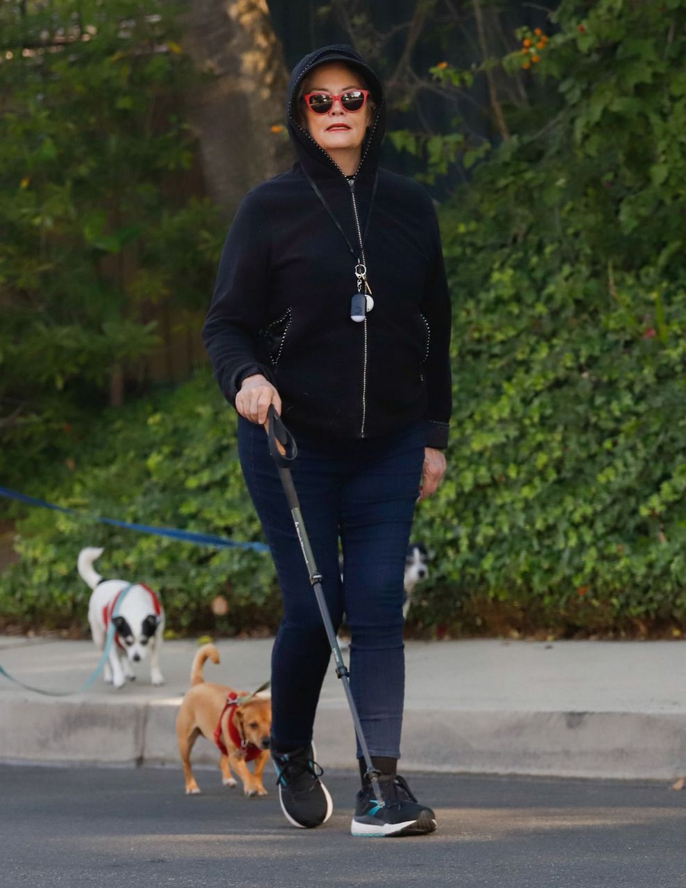 Cybill Shepherd Out With Her Dog Los Angeles