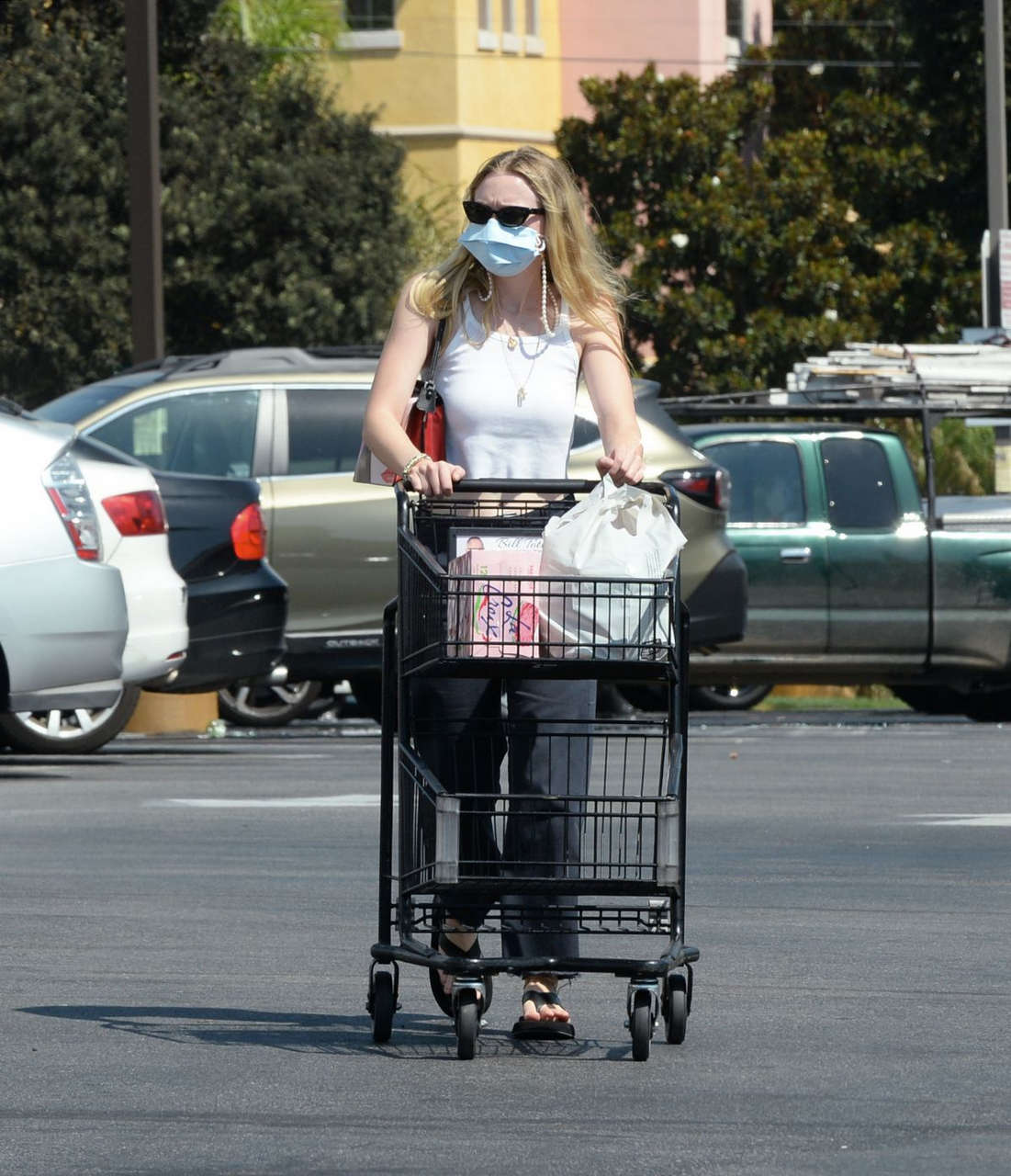 Dakota Fanning Out Shopping Vons Burbank