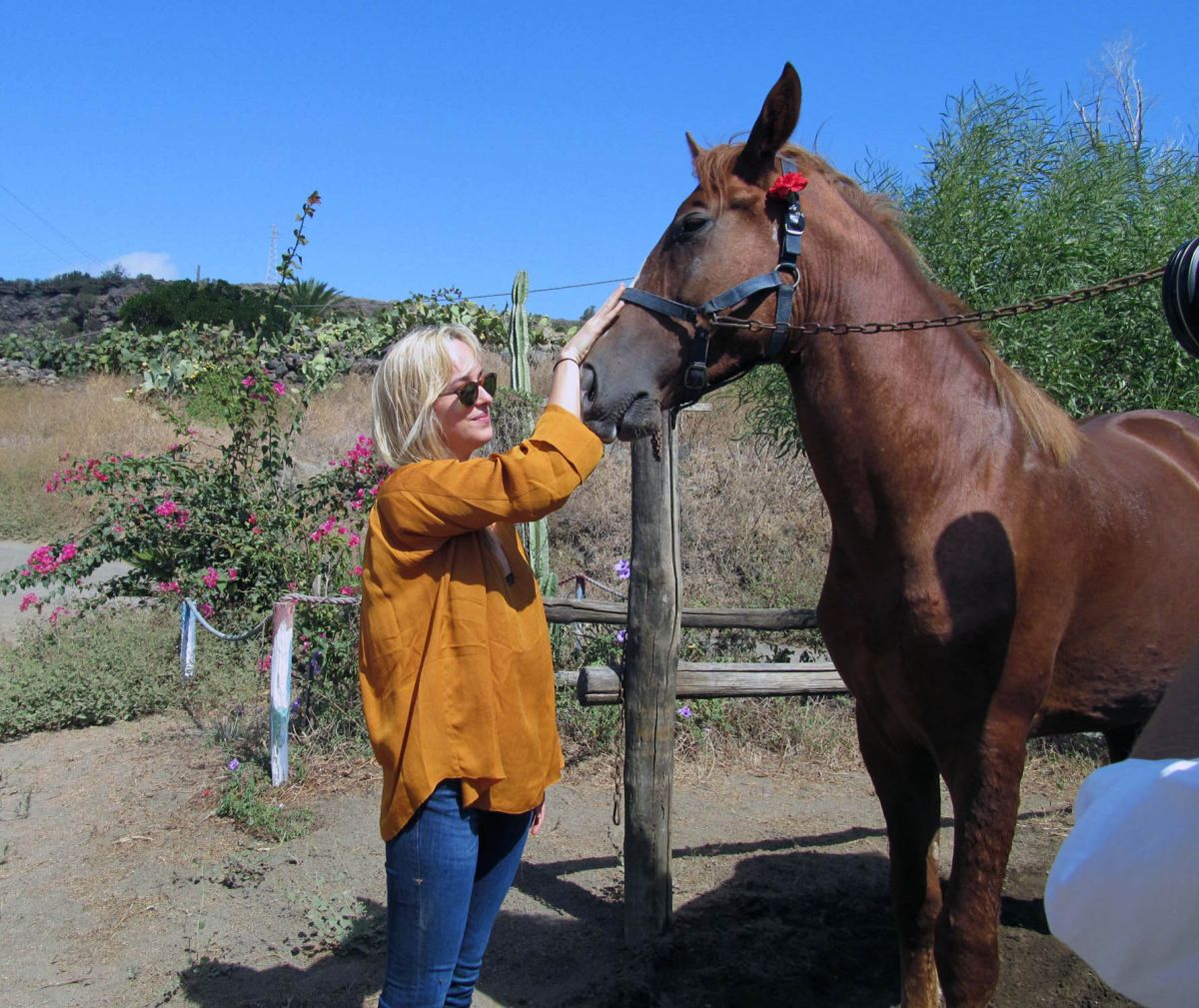 Dakota Johnson Equestrian Center Pantelleria Italy