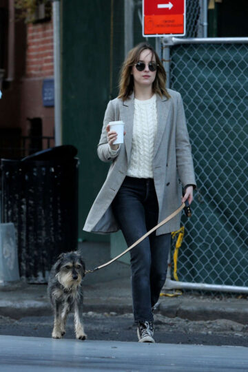 Dakota Johnson Walks Her Dog Out New York