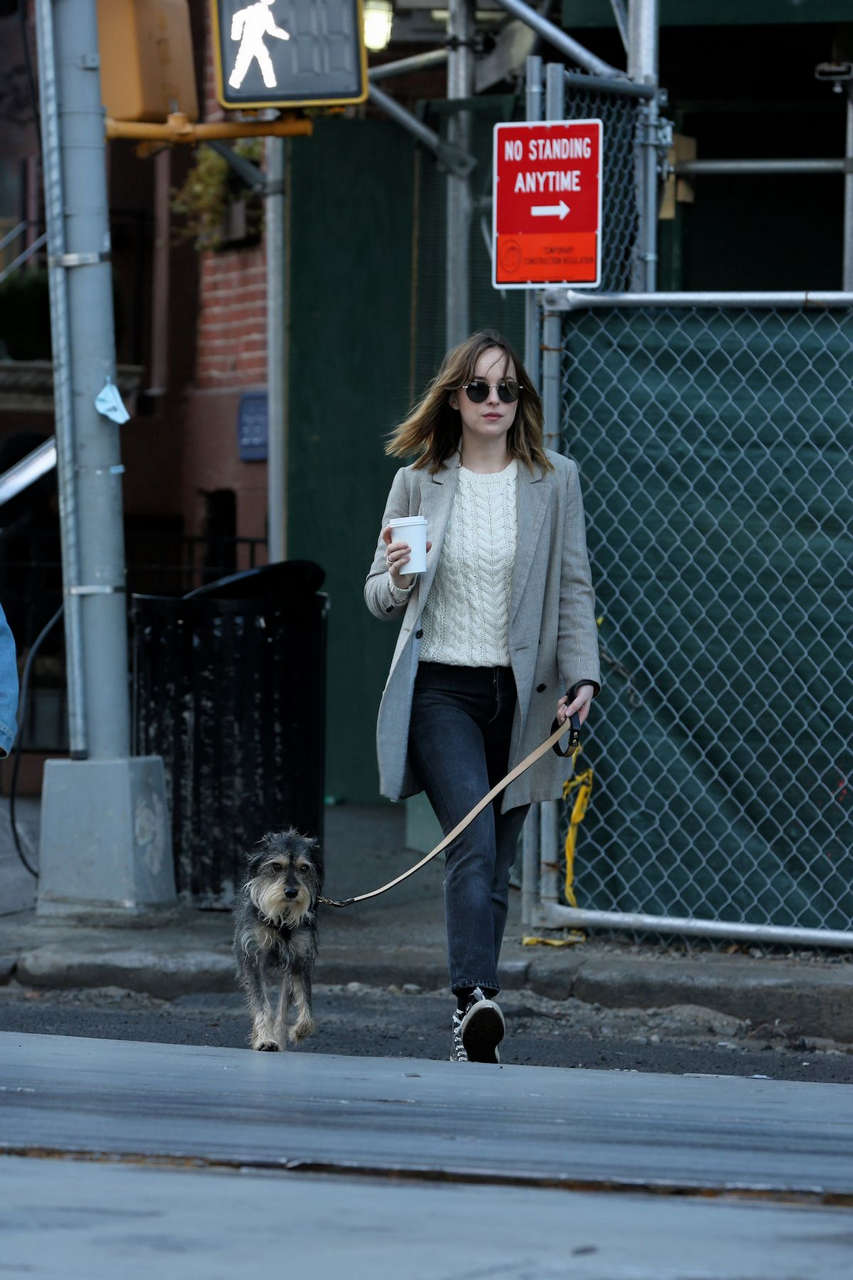 Dakota Johnson Walks Her Dog Out New York