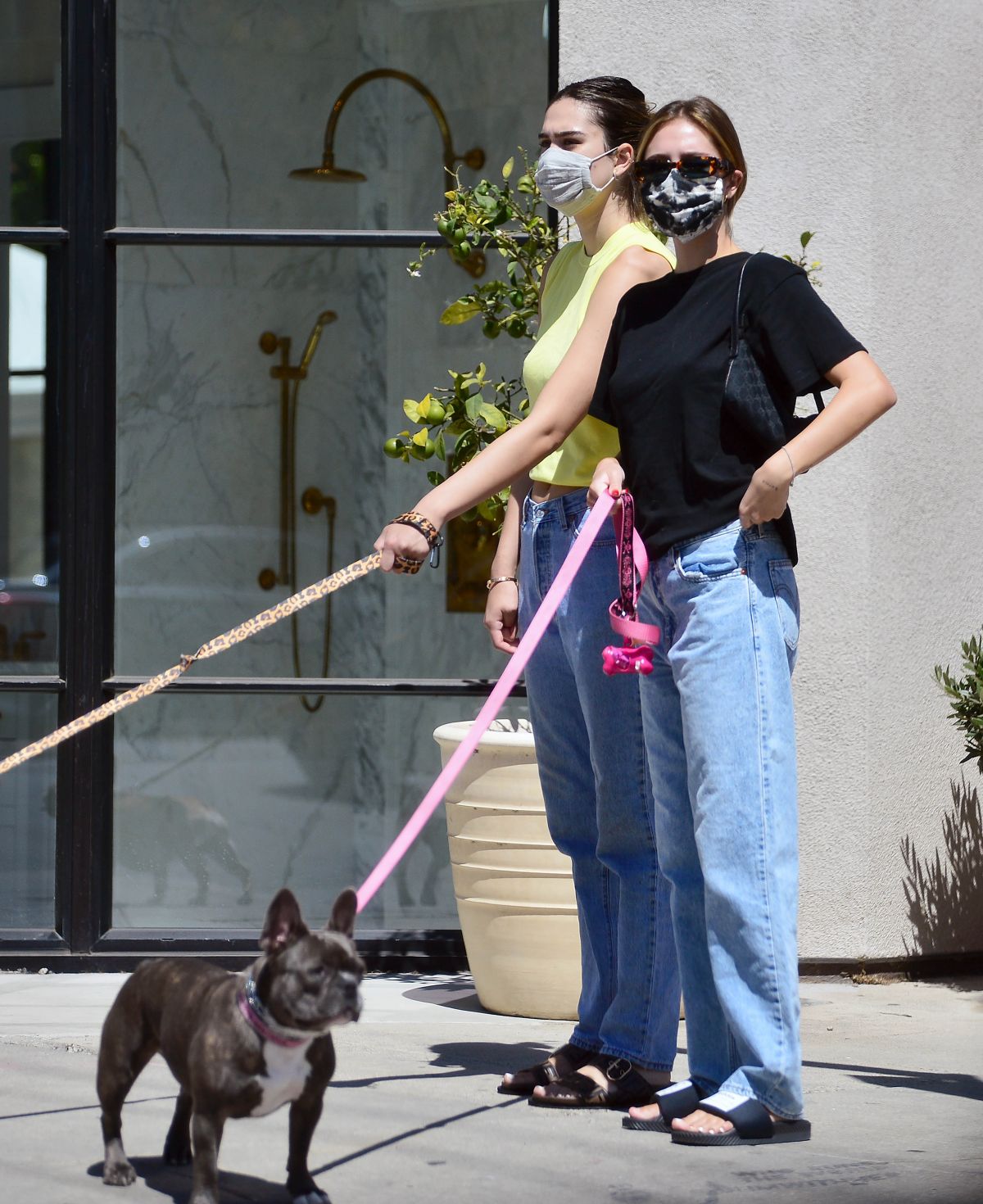Delilah Amelia Hamlin Out With Their Dogs Los Angeles