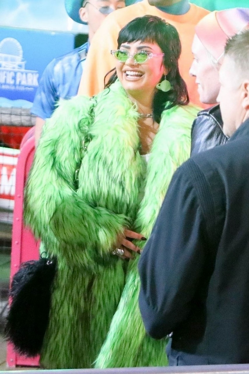 Demi Lovato Paris Hilton Carter Reum S Wedding Celebrations Santa Monica Pier